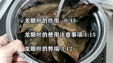 龍眼樹|龙眼（无患子科龙眼属的一种植物）